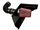 RotoFab Cold Air Intake w/Oiled Filter, 2010-2015 Camaro SS