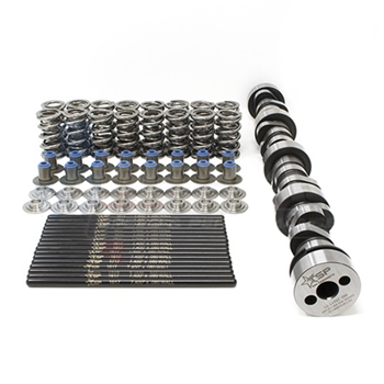 TSP Naturally Aspirated, Stock Valve-Spring Camshafts, LS1/LS2 Applications