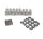BTR .625" Beehive Valve Spring Kit, LS Applications