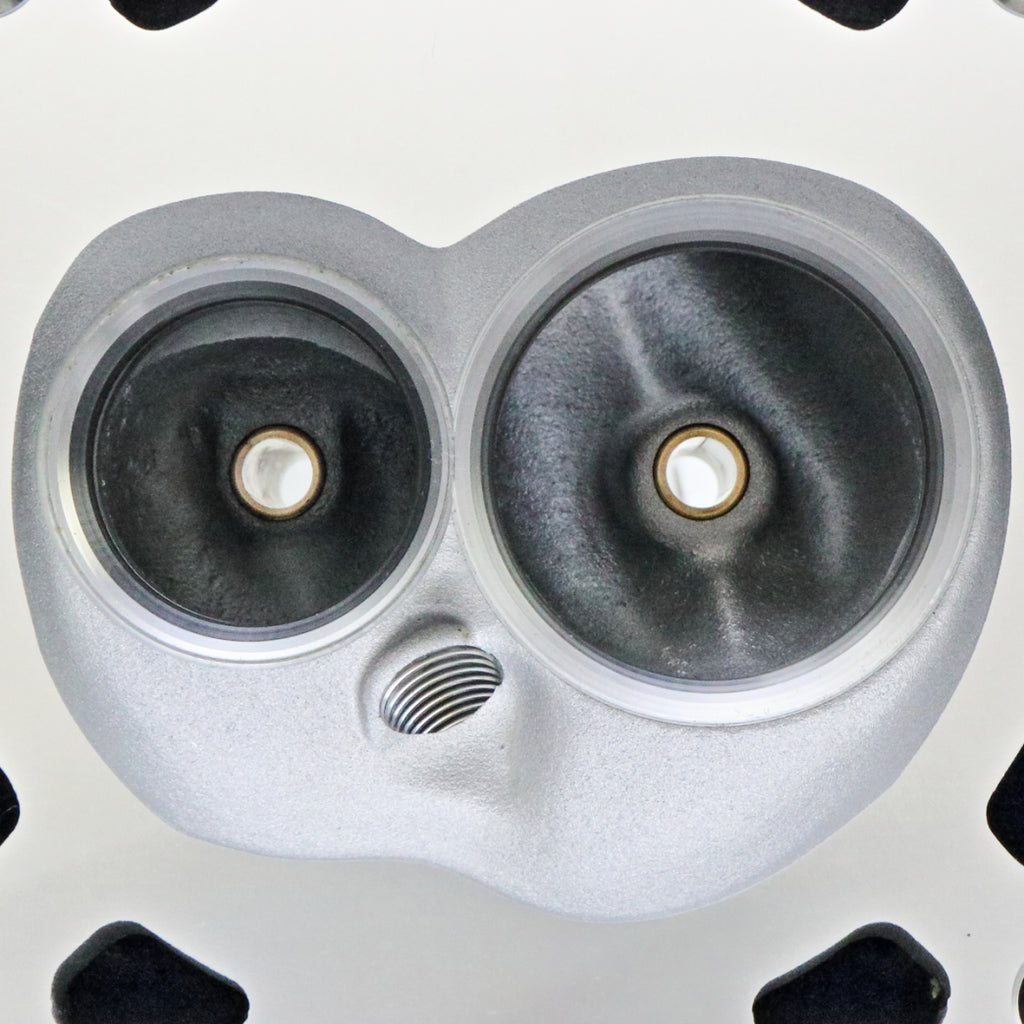 AFR 210cc Enforcer As-Cast Cathedral Heads, LS1/LS2 Applications