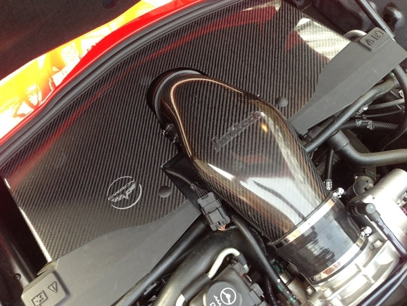 Halltech Beeline CF112 Package with Carbon Fiber Intake & Beehive C6 Z06 LS7 (06-13)