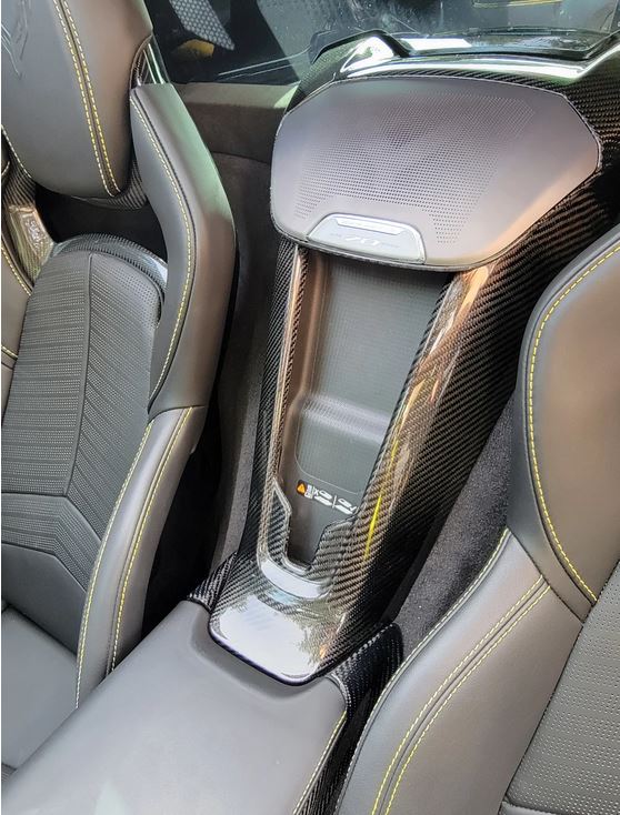 C8 Corvette Carbon Fiber LG583 Waterfall Speaker Cover