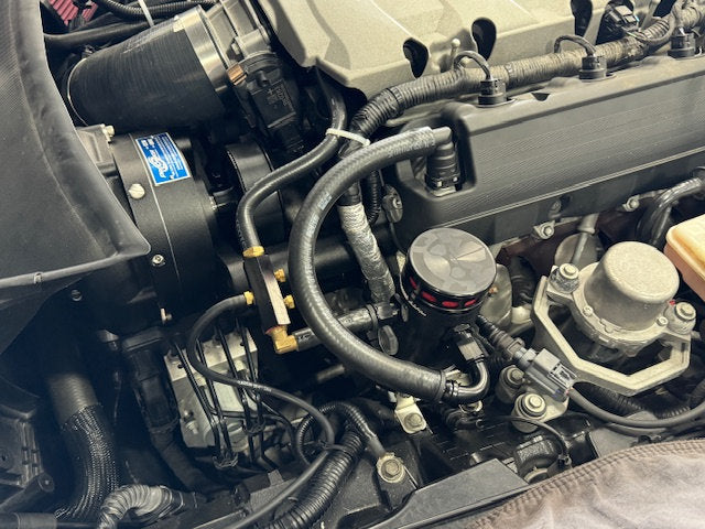 Mighty Mouse *WILD* Catch Can PCV Systems, 2014-19 Stingray