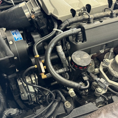 Mighty Mouse *WILD* Catch Can PCV Systems, 2014-19 Stingray