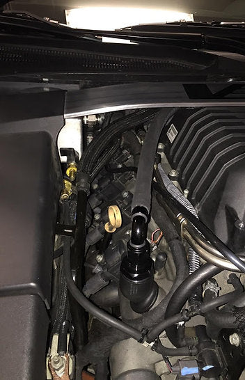 Mighty Mouse *WILD* Catch Can PCV Systems, 2009-14 CTS-V