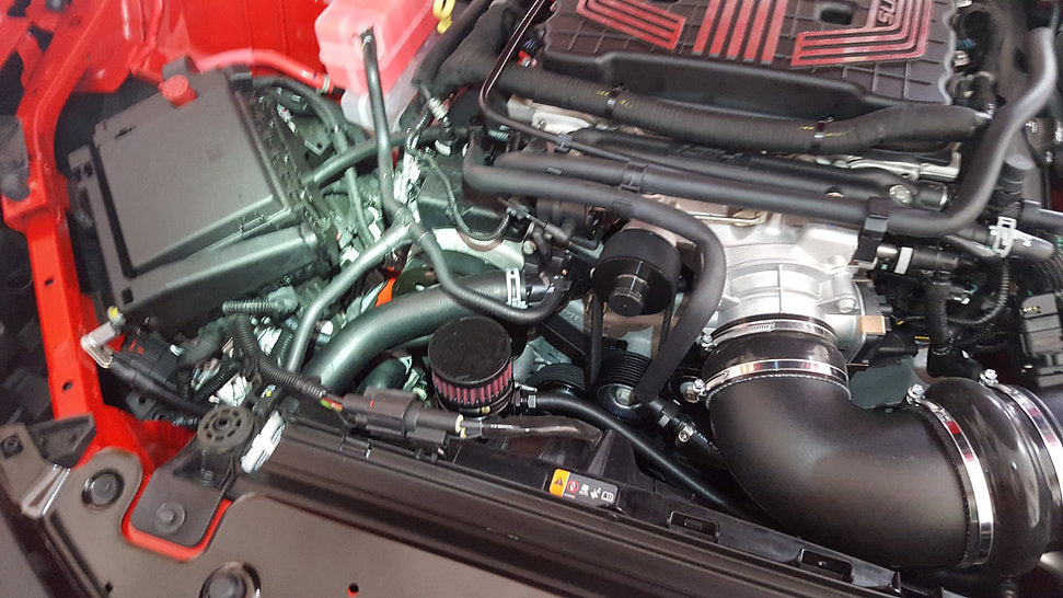 Mighty Mouse *MILD* Catch Can PCV Systems, 2016-19 CTS-V & 6th ZL1